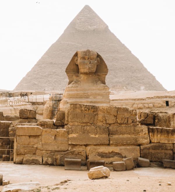 Pharmaconex Egypt